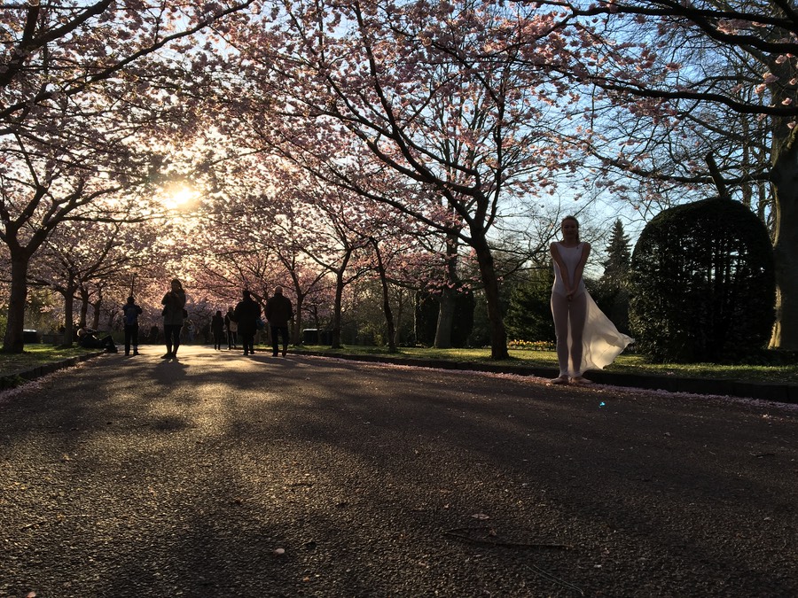 2016-04-22 07.10.45 HDR-2