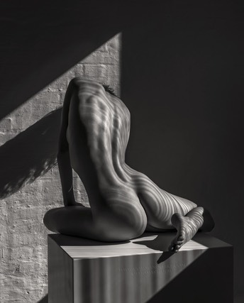 TH2017-2180 - Torso 1200px